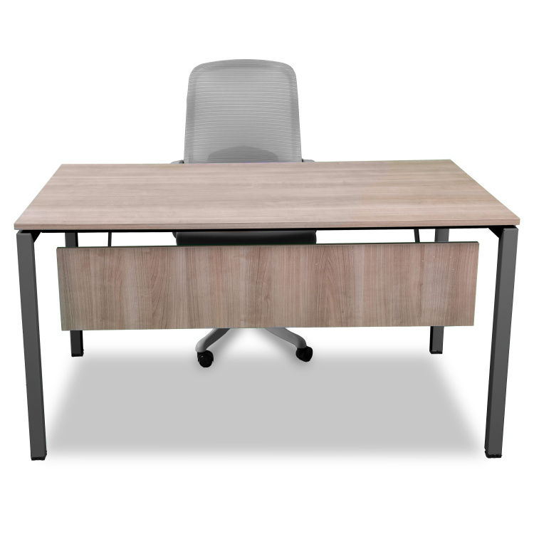 160*80 TEKLİ ÇALIŞMA MASASI - 10