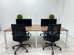 SES YALITIMLI DATAPORTLU 4'LÜ WORKSTATİON - 4