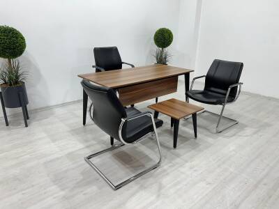 SEGİZGEN ÇALIŞMA MASASI - 3